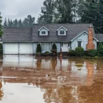 Homeowners Insurance for Natural Disasters: How to Protect Your Home in 2024